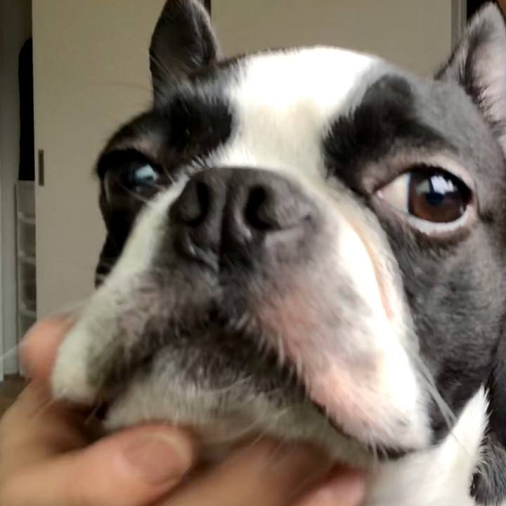 8aa69ec9 06f4 4333 beac 7e7ca4476337 1525650962519