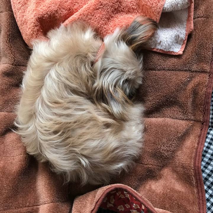 8aa6a4f2 4cdd 41fd b8ab c0a2393fc07d 1542853012689