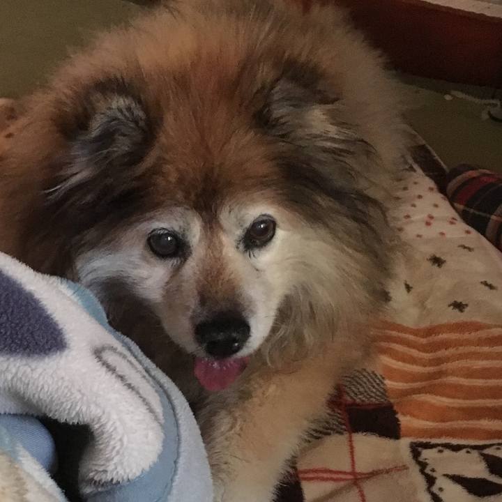 8aa6d9ab 3be7 477b a264 956f6e0f249d 1600106019454