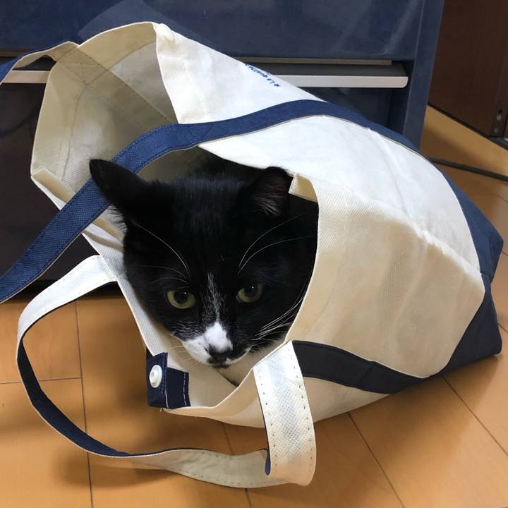 8aa6f926 9272 4637 8f4d 535fd6856992 1545882342728