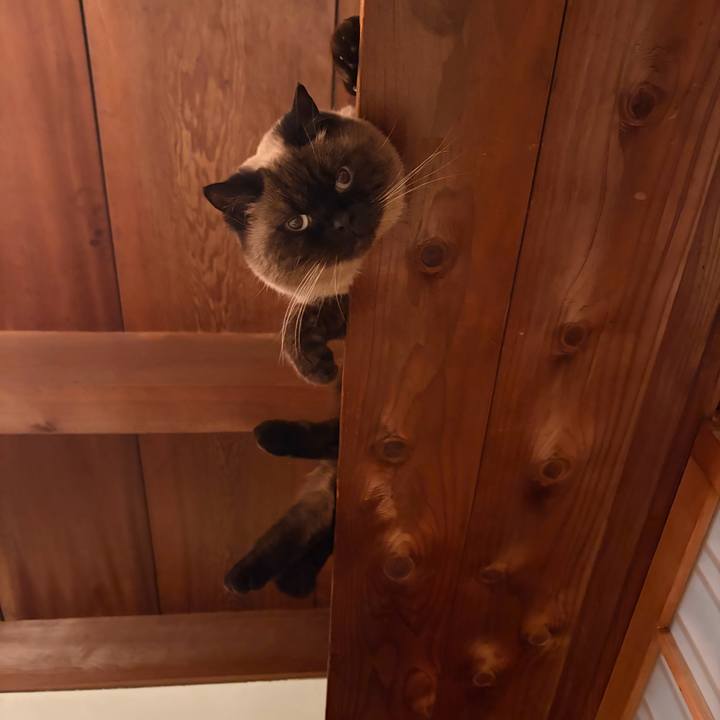 8aa6fc99 87bd 446e 865d e84810501719 1766641487163