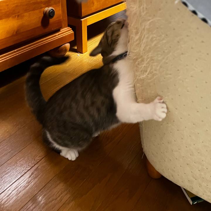 8aa6fd94 27d9 407d 879e 6f81659dc13c 1761046152548