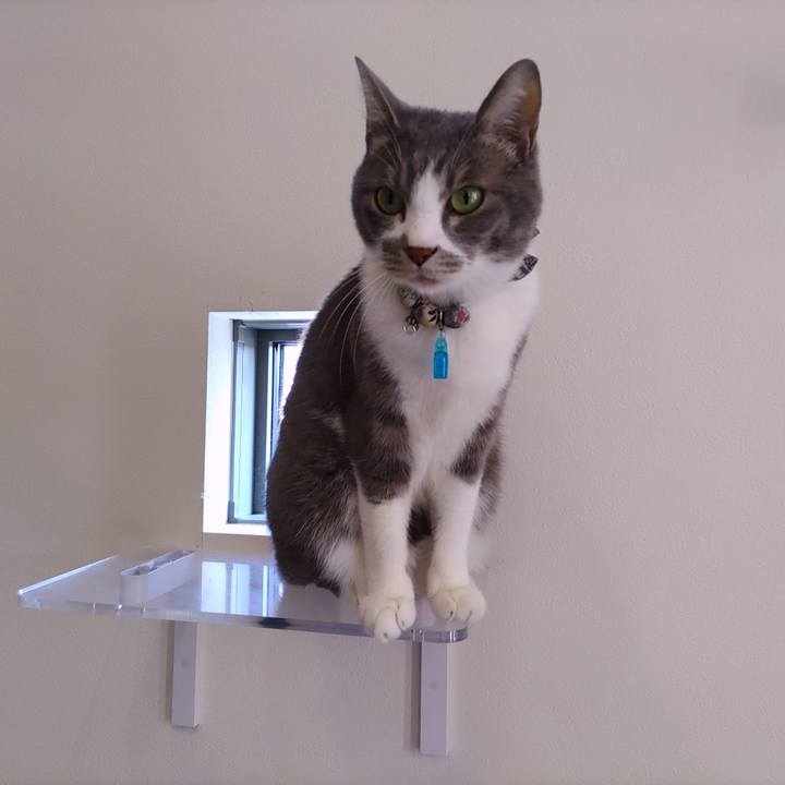 8aa72566 443e 4123 a7ed 56c1e2cffbcc 1703997841926