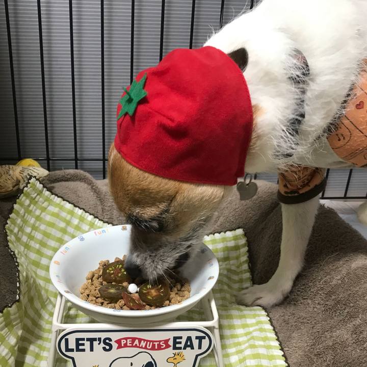 8aa73491 e130 45f4 8361 b2ef8e63eb8f 1529744492754