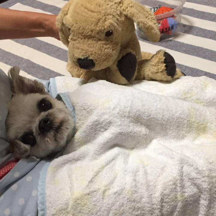 8aa7dd3f ab6a 4f71 8b42 ea8213ce0e57 1564831374688