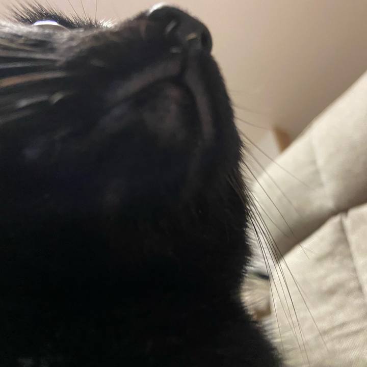 8aa7e0e0 9c0e 4313 9c2e d2b55e9ecca4 1629556553068