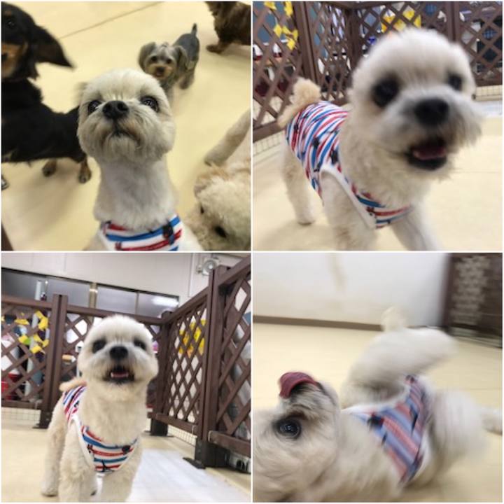 8aa84b84 a2d0 4ab3 8d35 49dbcbb538d5 1524174129674