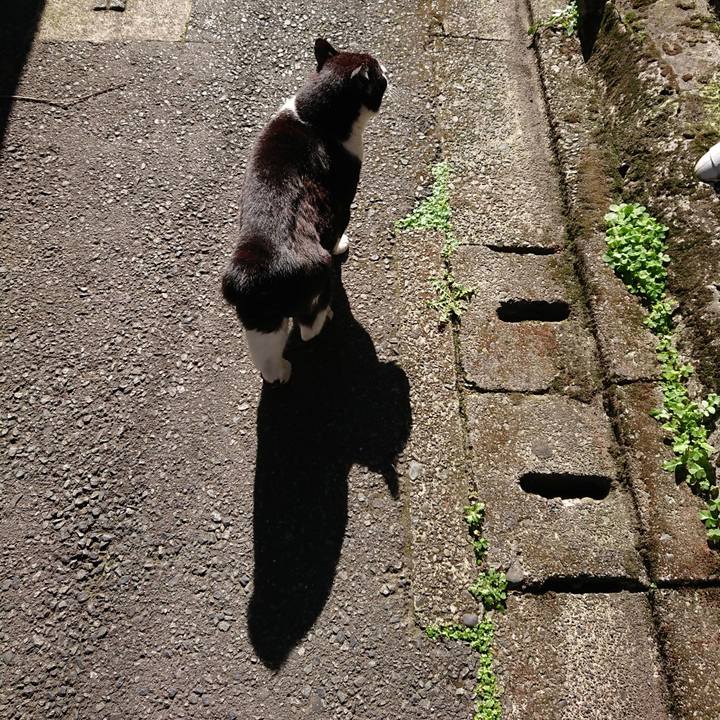 8aa8aa75 5039 4469 81ea 746170319639 1682999038483