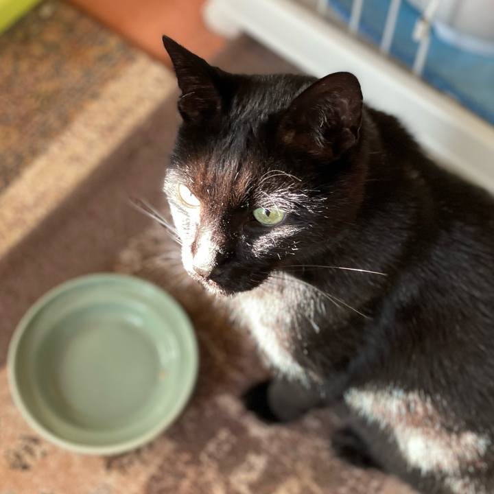 8aa8f7b3 211f 4963 a5da 6f516952c17a 1642731323325