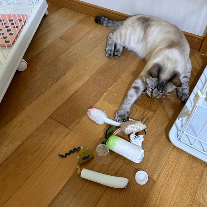 8aa90049 5709 4f96 8b8b aafa9c83eb31 1749852920353