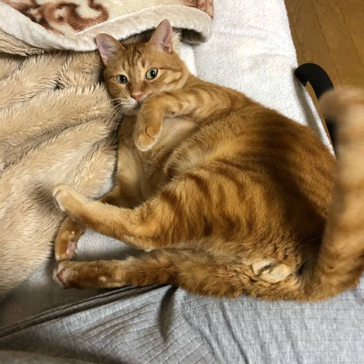 8aa91890 68f7 4996 b2d1 5db02d89cad8 1618834922288