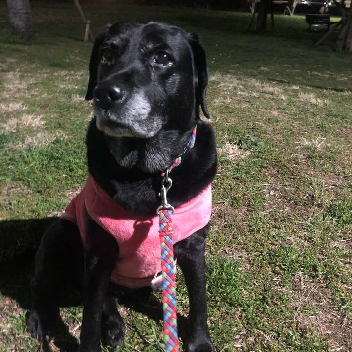 8aa937ae 0dd3 4494 b508 0127ca87e5f6 1584015136484