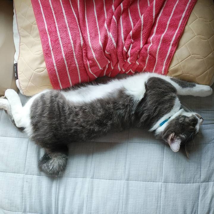 8aa93e4d 6380 4252 aae2 27bcc7890aa3 1590191847108