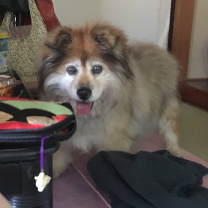 8aa96114 8c7c 4ece 9d52 7fdf8205a541 1559954412947