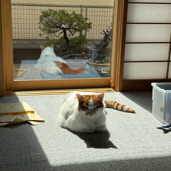 8aa9feb1 b438 434d 8405 70ce25292a59 1773111612589