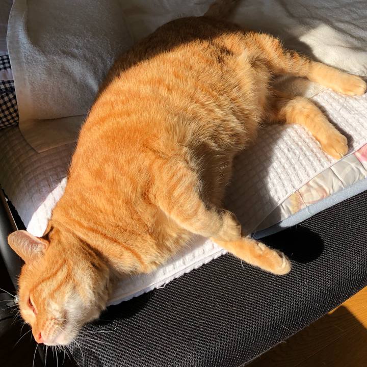 8aaa111c 7999 415f 8466 f63cffc51291 1590704848931