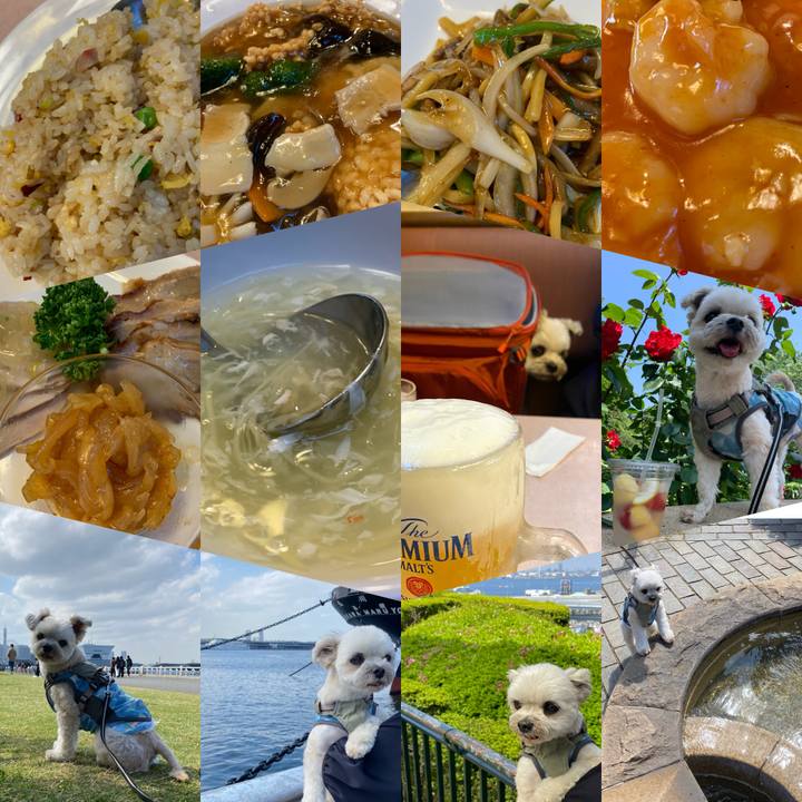 8aaa1562 687c 4025 9fce 09b3a43b2824 1682929787902