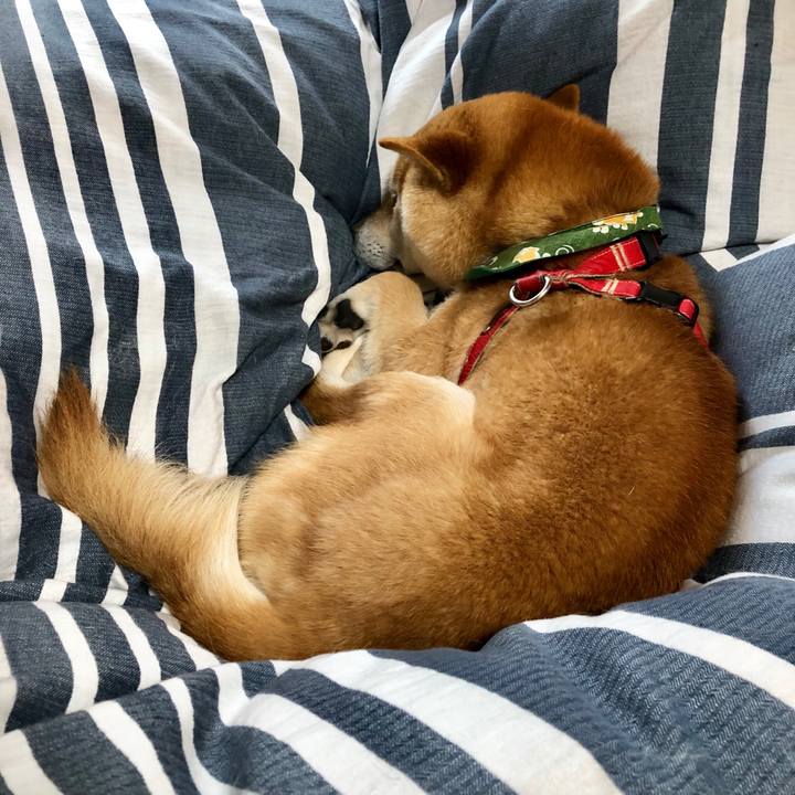 8aaa21d4 301f 43de bbb6 44b8b7b50c72 1525524012064