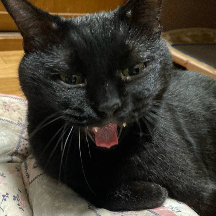 8aaa7e07 2565 4cd9 bc12 9250ed1f00bf 1720526550384