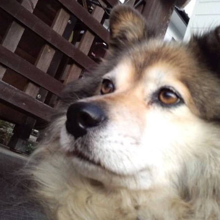 8aaa86cb 138b 43bb 8374 246920af6fce 1612340267867