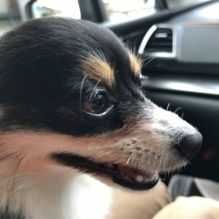 8aaa9b24 8547 4c24 a6ea 5d2331a238d2 1525309235011