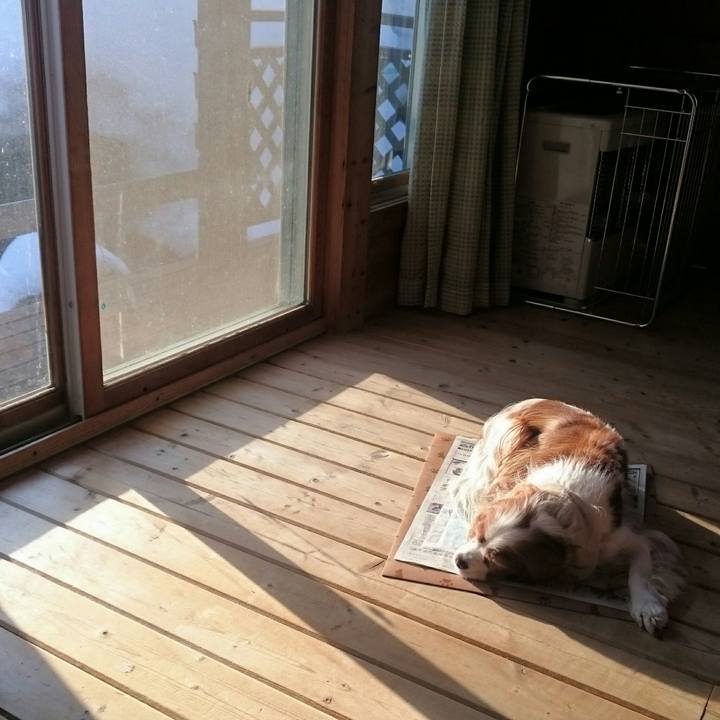 8aaaad4f 6b7c 463b b472 a81849245696 1519467169137