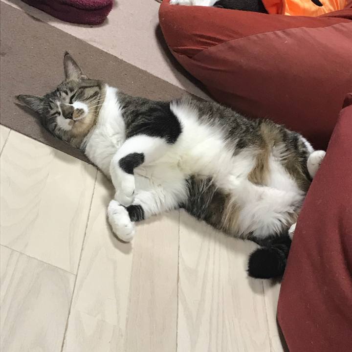 8aaaaeb7 de69 42a6 8938 6fc169a709fd 1508415870202