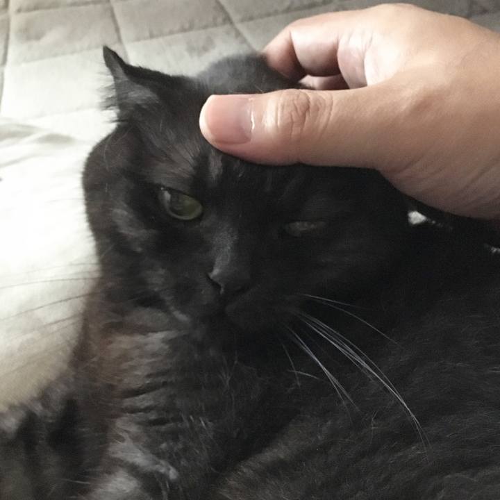 8aaac497 6a11 471d 952f 1199b675a9a9 1528578893115