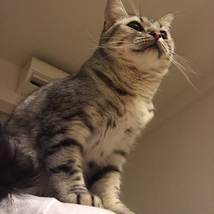 8aab0488 6470 46ae b97e 7ff19228962d 1509544020010