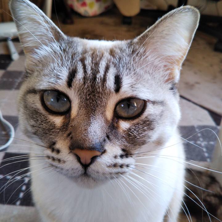 8aab3945 c5fd 4638 bb4c f549b7feabbc 1551164314785