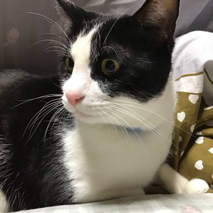 8aab7120 3ba3 4a54 90fa 22bec0e5b4a4 1733303526082