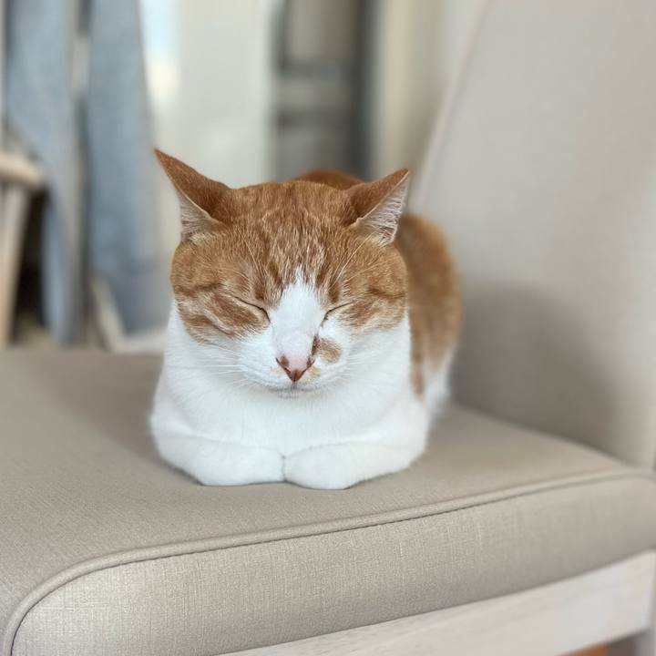 8aab76e1 e261 4c94 89a6 5124f9b19022 1658735289429