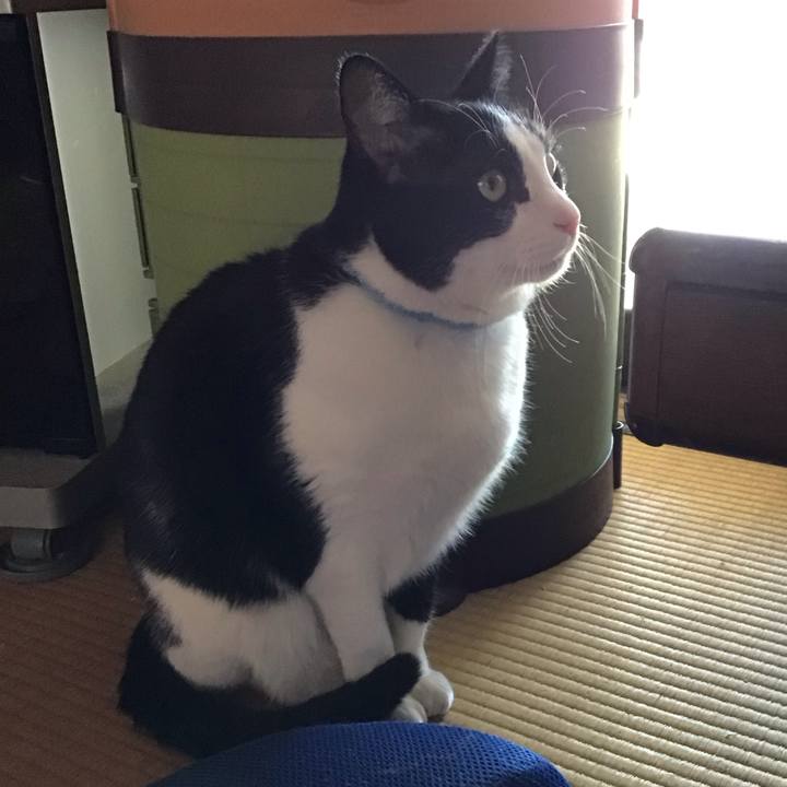 8aabbf8f e5f8 48d8 99ca 6b407f81ef39 1740043251667