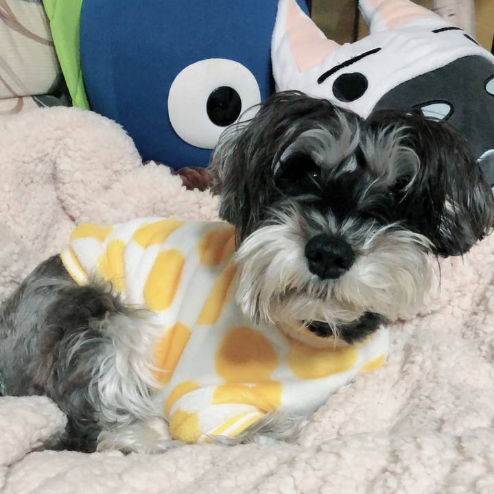 8aabd706 877f 4e1f 8221 6ceddcc03e85 1514469741064