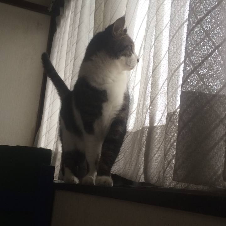 8aabedc6 4f16 4cc2 821f 16c8ed46f160 1539394211708