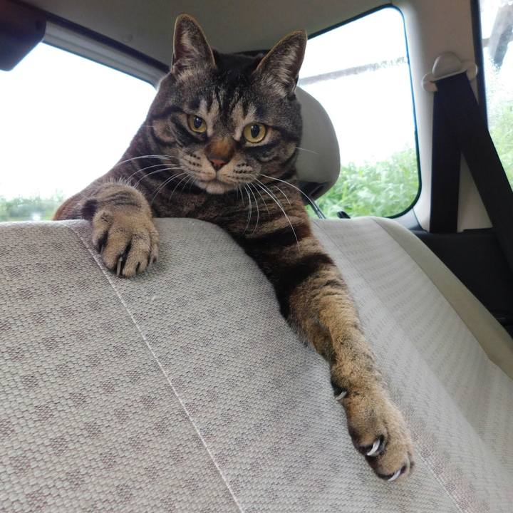 8aac0365 f086 4890 8a61 f7512fac97bd 1527349924525