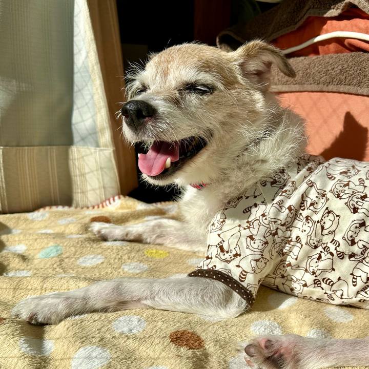 8aac0f85 88f3 4e8f 9526 12124e4f6b35 1699929005849