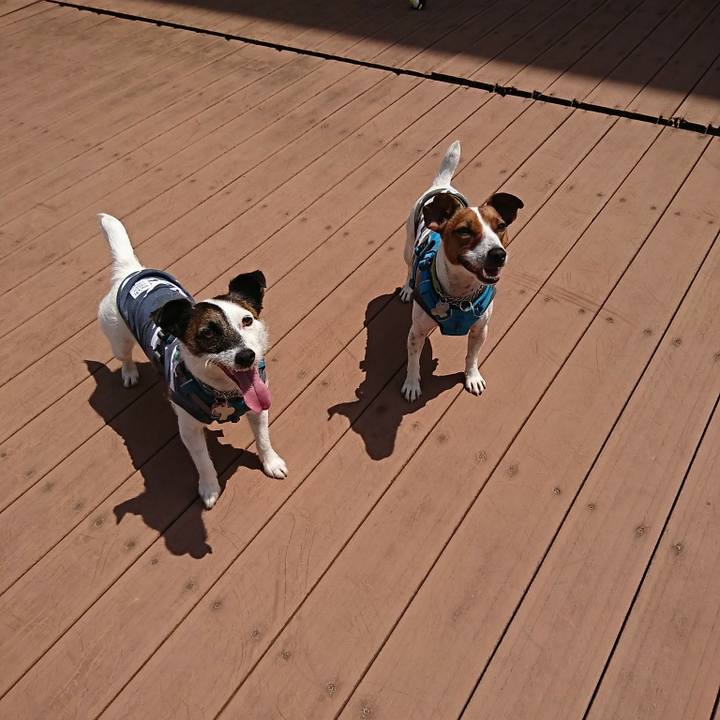 8aac14cc b530 4163 b2de 5b374ff8438f 1587529339009