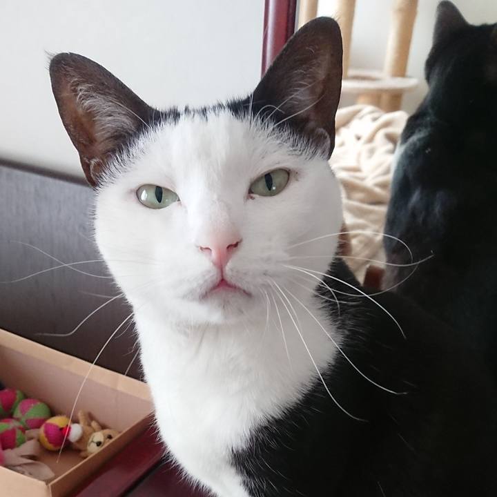 8aac1ae2 12e4 462b 9313 6dc75b89dc8b 1555204245123