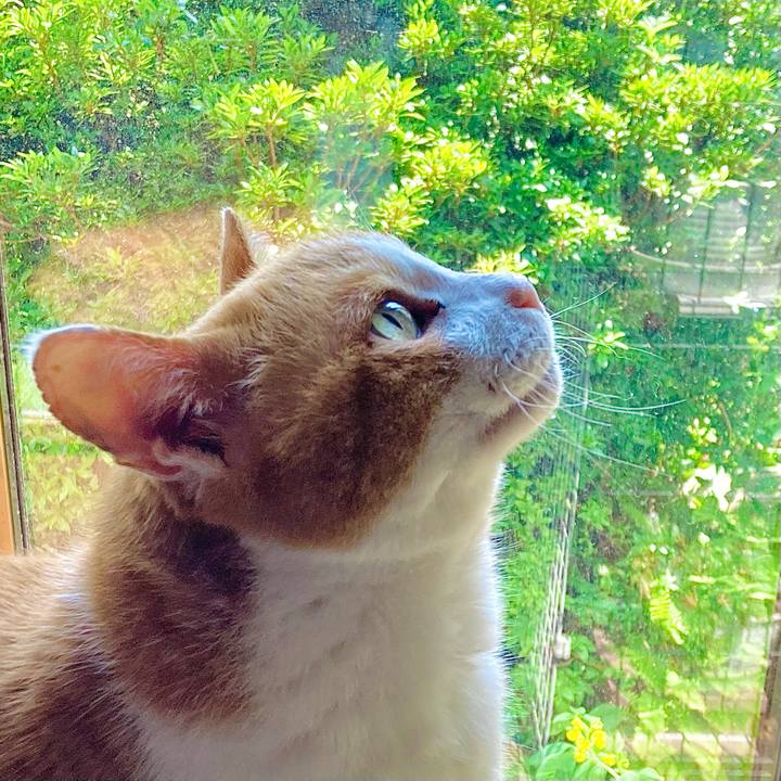 8aac1d08 00c2 4f08 a9d2 56094ec91140 1683607517015