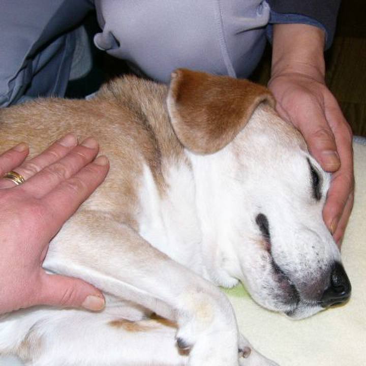 8aac4fec b788 45fa b448 2f393334791d 1659227367274