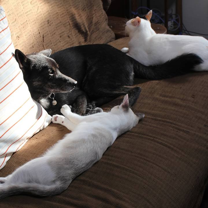 8aac5db1 e036 4a0d b497 40c171e58286 1608304613536