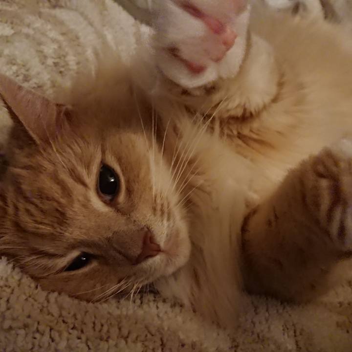 8aacf33d dac4 4674 8191 7a20842afc27 1543327039472