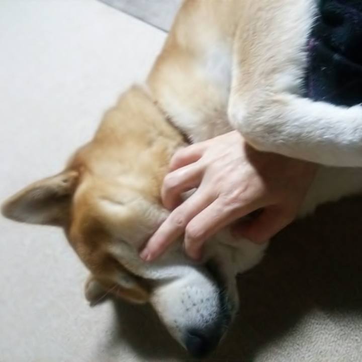 8aad0564 2a7c 4981 8c12 bc922c711a20 1508373288043