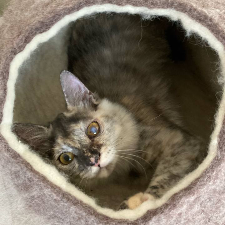 8aad4fa0 6a9e 43d7 8a1d f4c64cc0a921 1698886462076