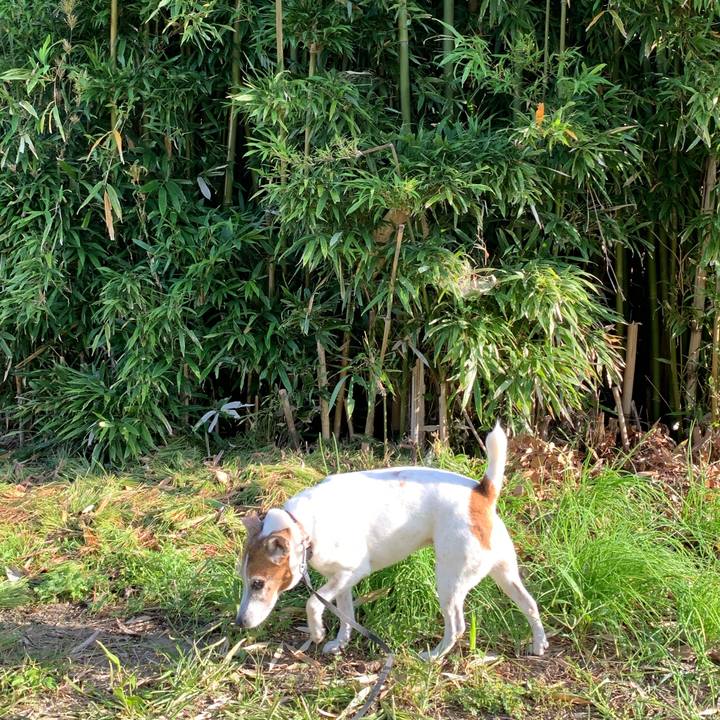 8aad5049 a204 42a4 92cf c868ae790674 1604187606848