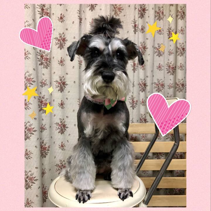 8aad5837 b809 4f51 a663 241813b16ced 1677594669119