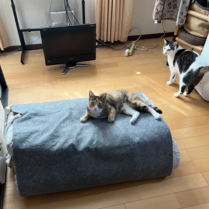 8aad7312 d67a 48f1 b8fc 6ea0f3237939 1654040810955