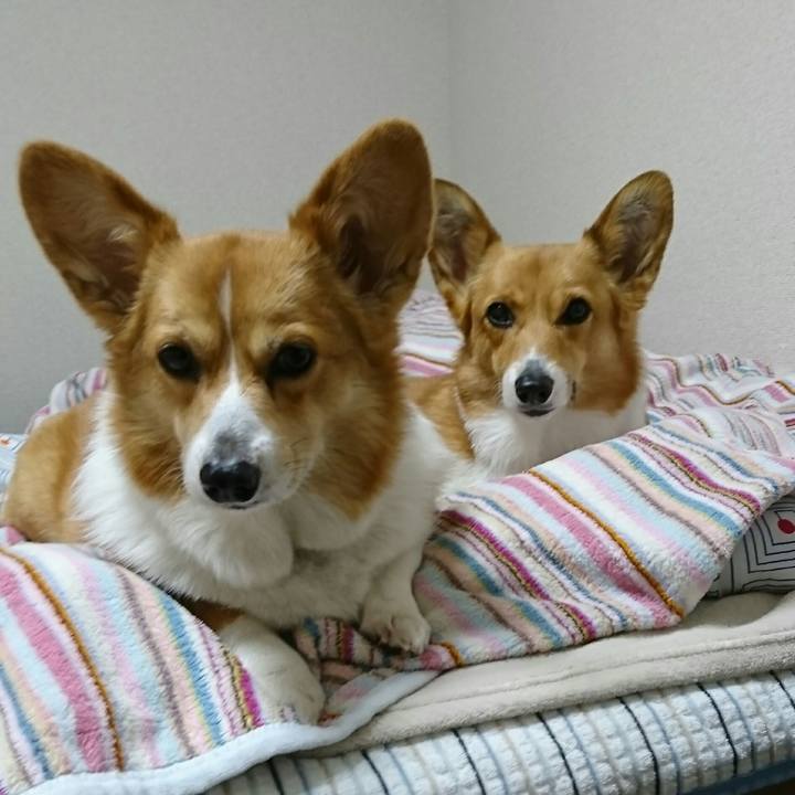 8aad7884 0a1b 48f8 8a29 4f906a3a7ca4 1519390900240