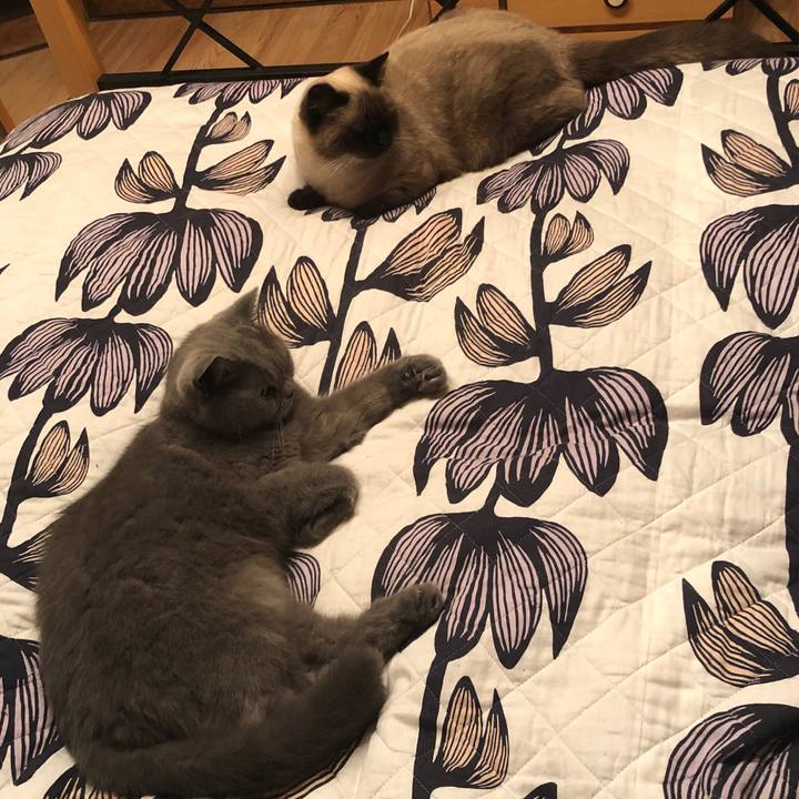 8aad9fa6 924e 42df 9be0 f155e5426fa7 1606921224989